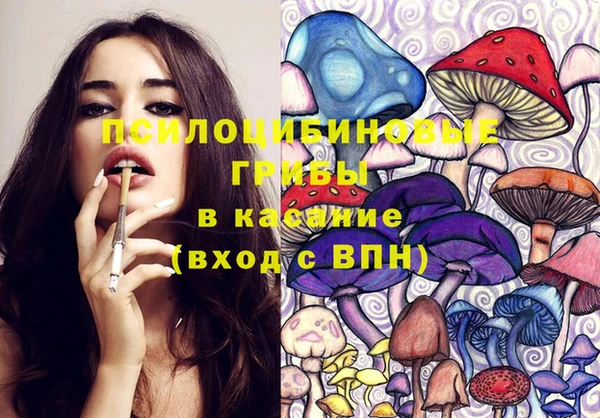 a pvp Кодинск