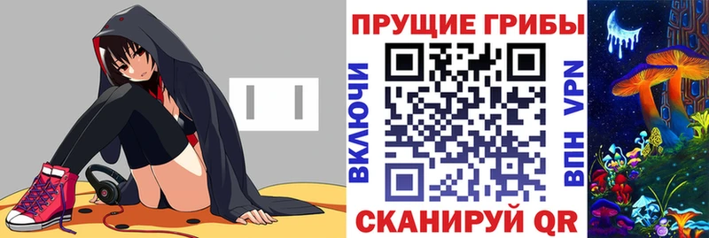 Купить где  Кудрово  Псилоцибиновые грибы ЛСД 
